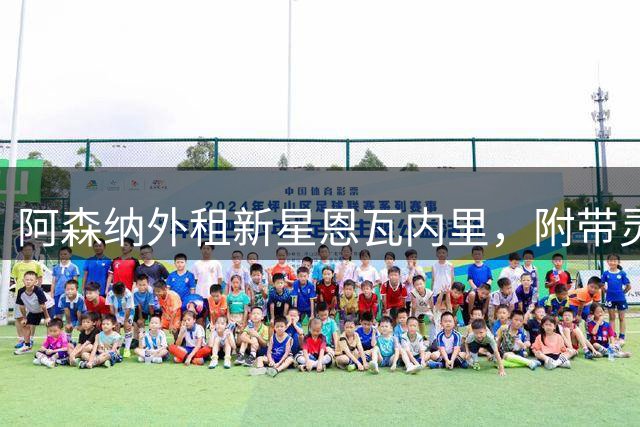 阿森纳外租新星恩瓦内里，附带灵活召回条款